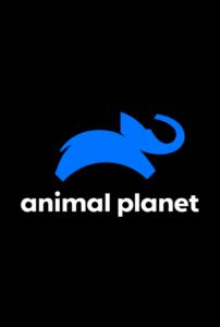 Canal Animal Planet