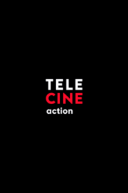 Canal Telecine Action